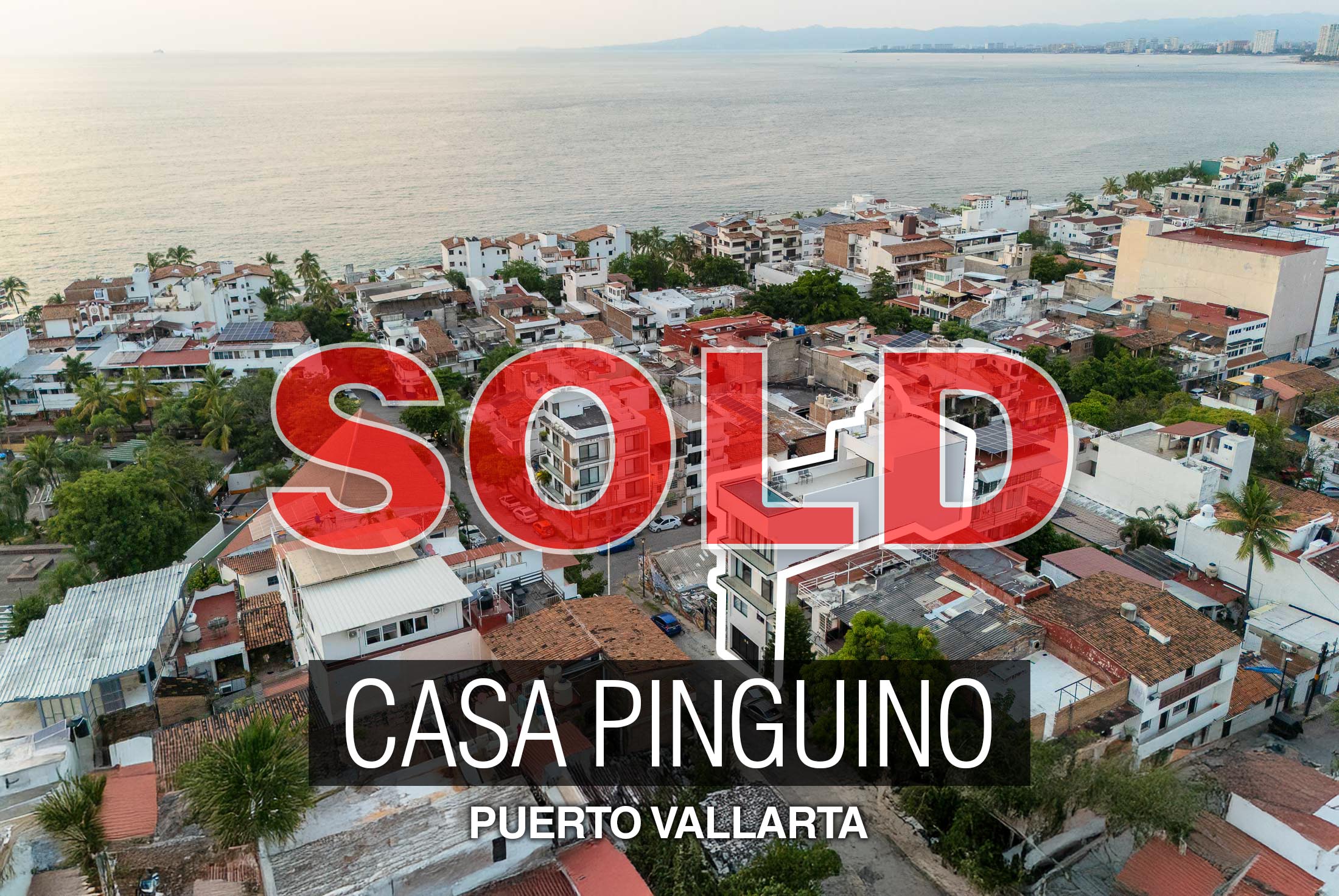 CASA PINGUINO