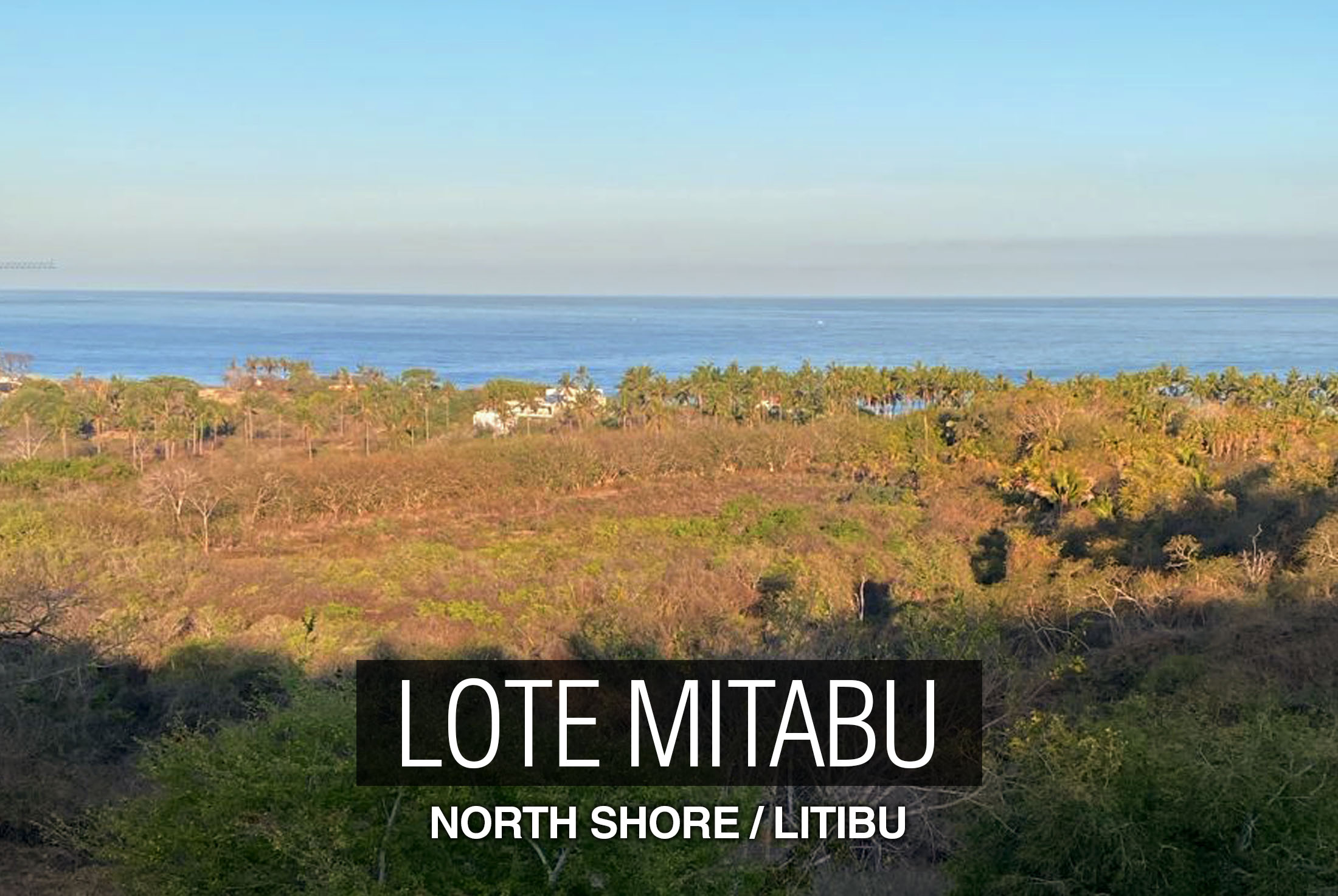 LOTE MITABU